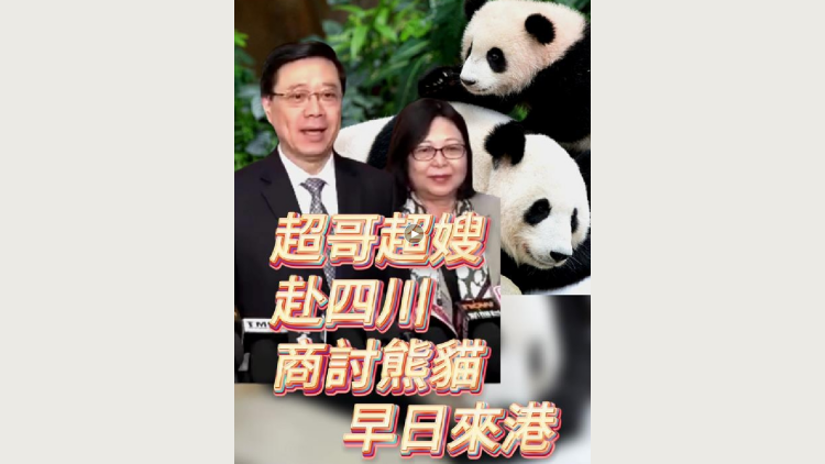 有片 | 超哥超嫂赴四川 商討大熊貓早日來港