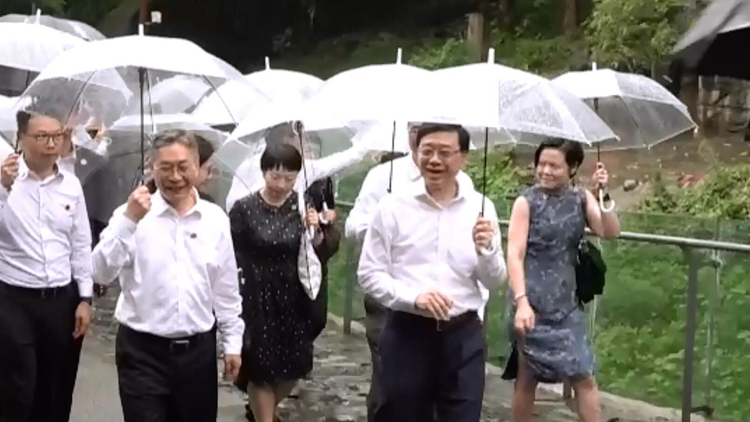 有片｜李家超到訪大熊貓都江堰基地：盡力爭取國慶前安排大熊貓來港