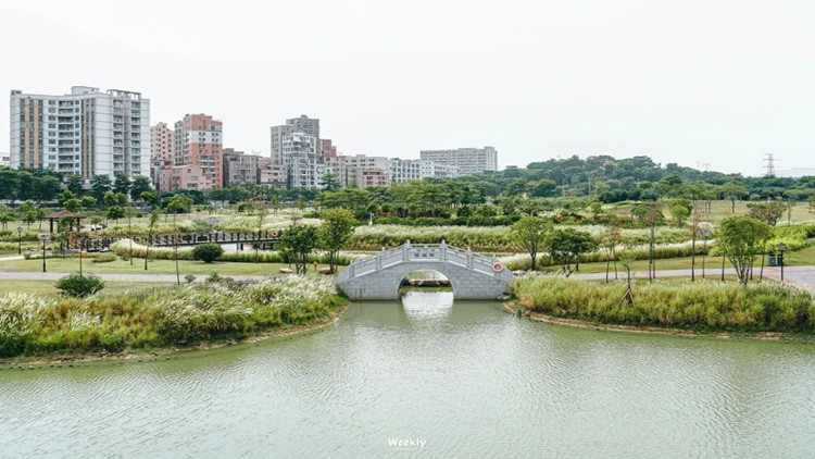 Cityride火了！深圳3406公里綠道攻略推薦→  