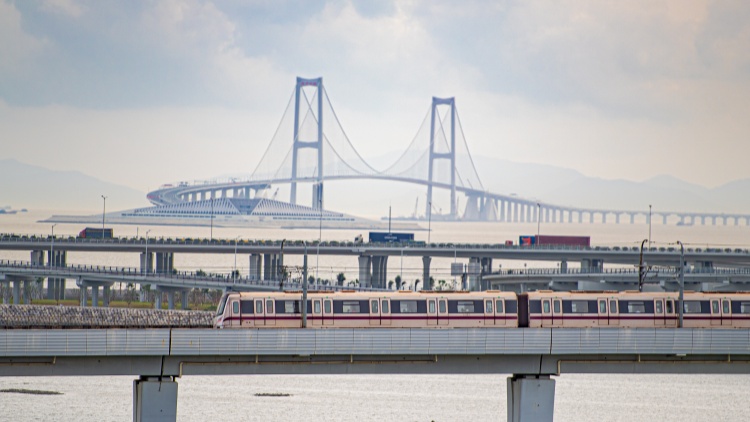 粵港澳大灣區暑期人員流動加速 遊客大幅增長