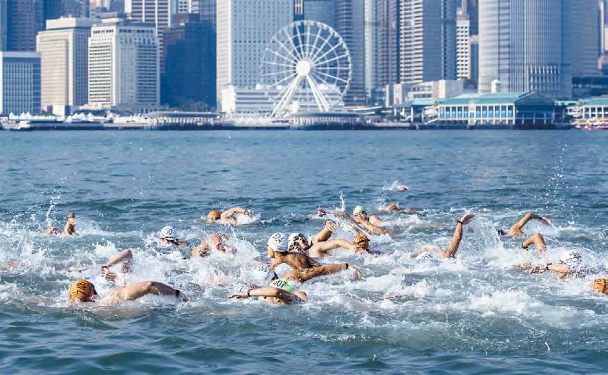 維港泳11·10舉行 參賽名額4000個