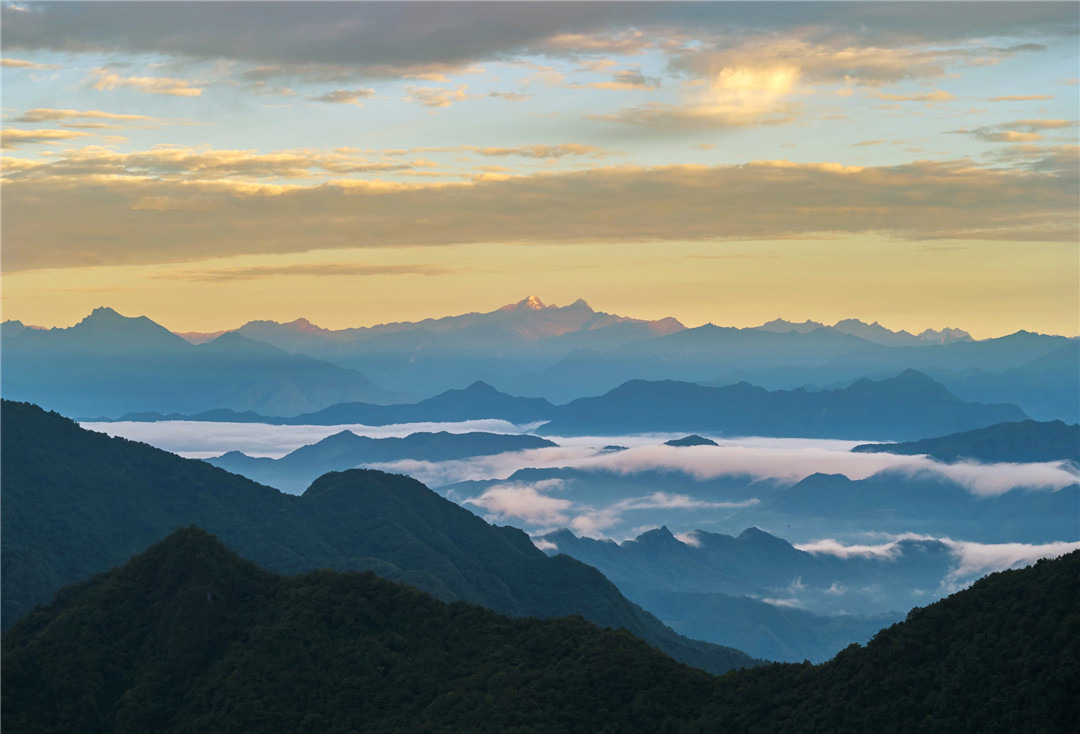 有片|四川平武夏日雲海映朝霞 雨後初晴美如畫