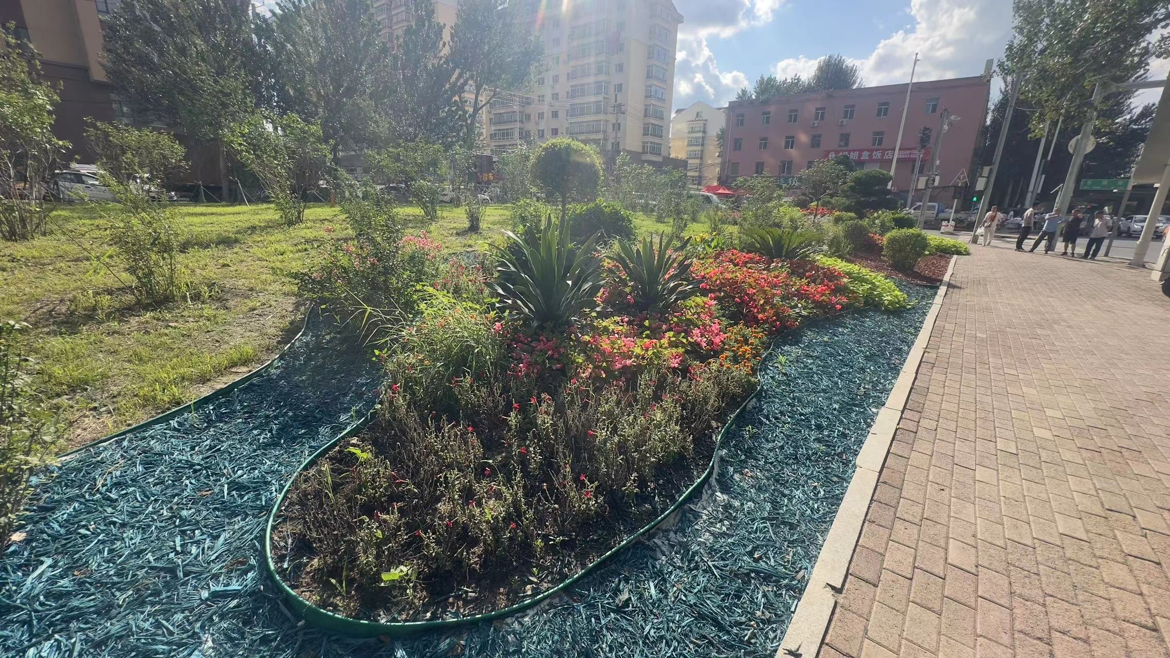 哈市香坊區：8000平方米特色園林綠化景觀喜迎亞冬會