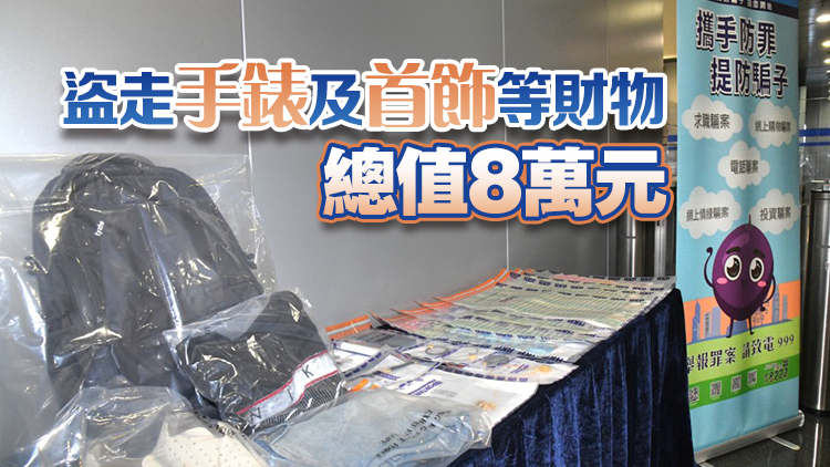 3日內爆竊4間住宅 專揀黃昏爬棚架犯案 內地男被捕