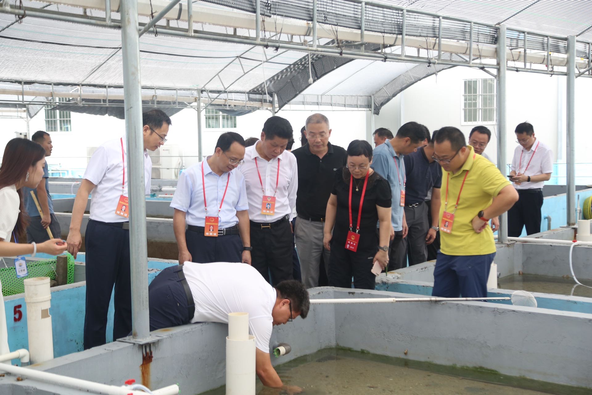 深圳葵涌：共建「人大代表林」 調研海洋產業園