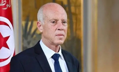 突尼斯總統解除總理職務 