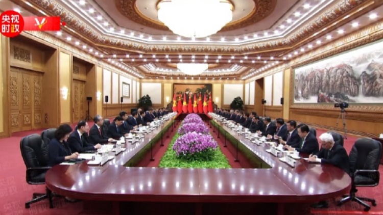 習近平同越共中央總書記、國家主席蘇林會談