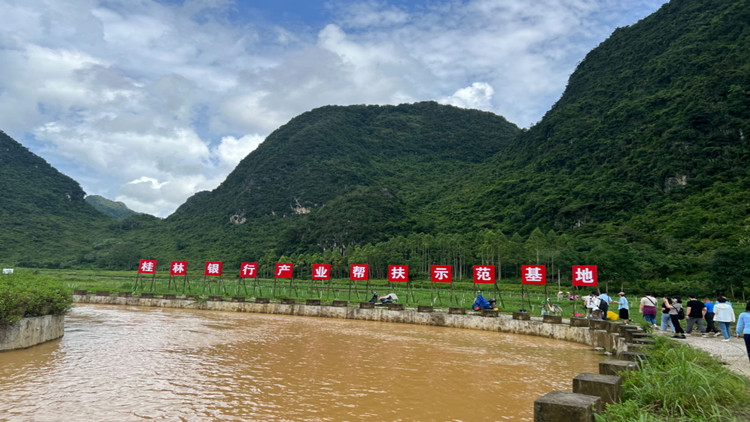 ​桂林銀行：探索城商行服務鄉村振興的「桂林模式」