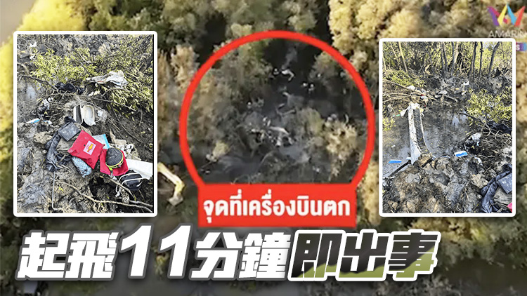 有片｜泰國墜機9人罹難！泰媒：5人為中國籍遊客，護照簽發地為上海