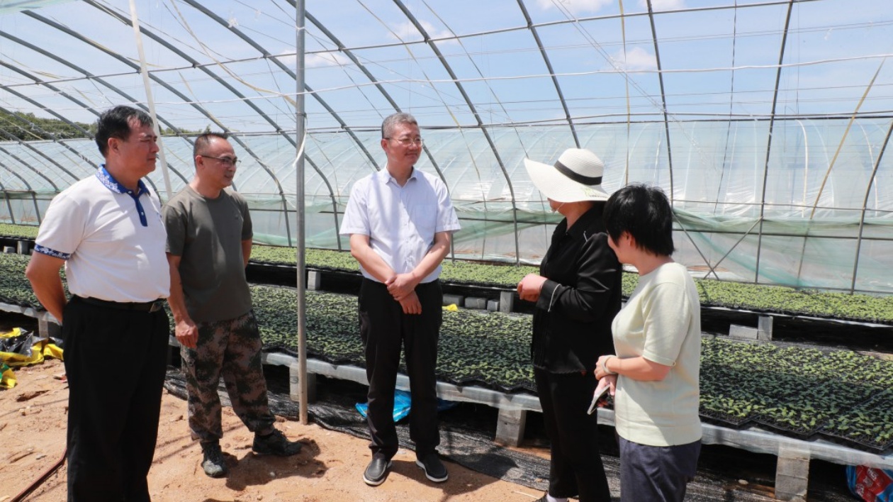 災後搶修 海南儋州 全力以「復」