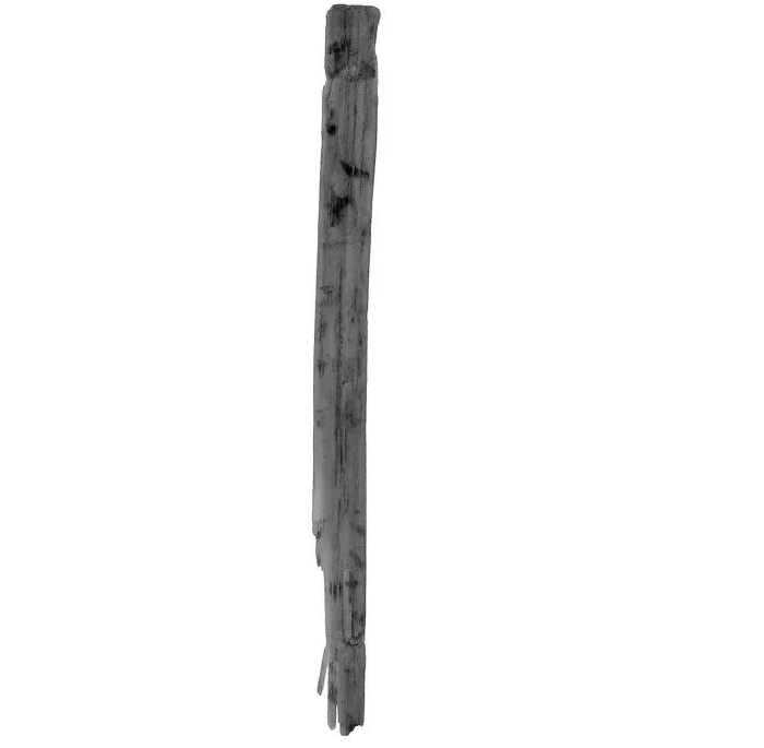 日本機構宣布發現距今1300多年的九九乘法表 