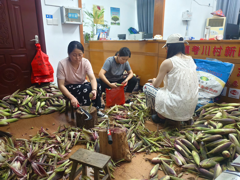 集體經濟提質增效  皖黟縣漁亭鎮荒地成「寶地」