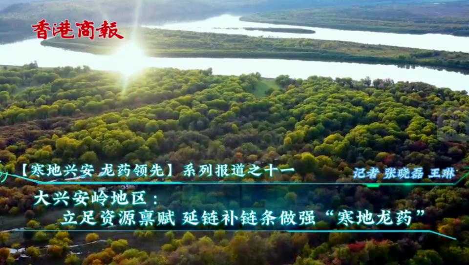 有片丨【寒地興安 龍藥領先】系列報道之十一 大興安嶺地區：立足資源稟賦 延鏈補鏈條做強「寒地龍藥」