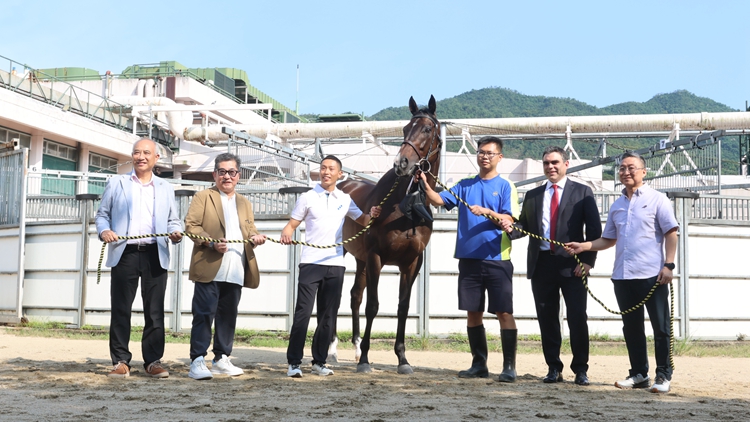 有片｜三屆馬王金鎗六十光榮退役 沙田馬場9·22舉辦歡送會