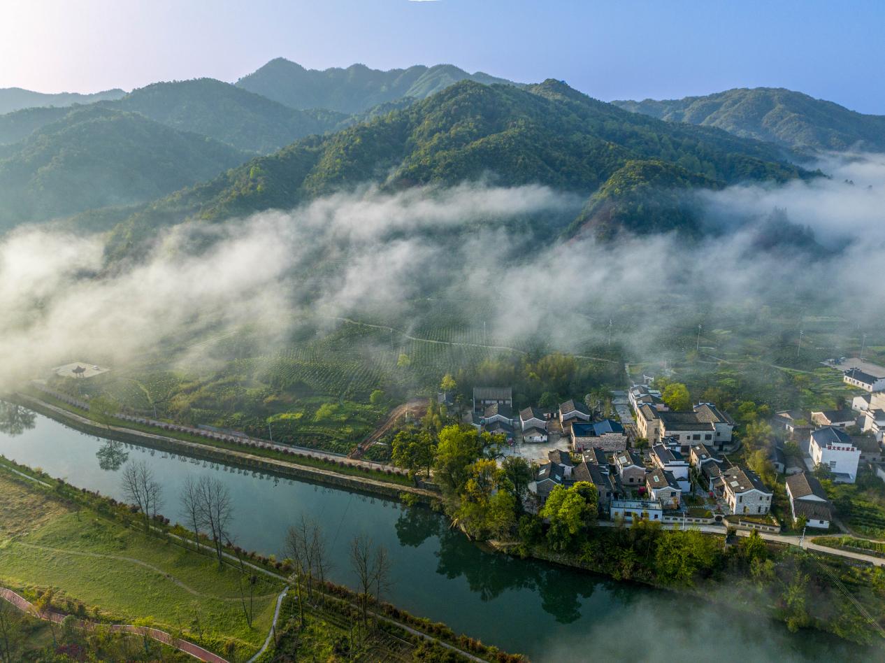 【康養中國】皖祁門縣：森林康養「新」上加「心」