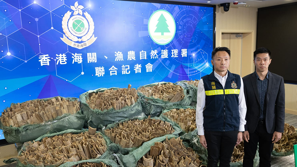 海關偵破歷來最大宗沉香木走私案 檢1噸沉香木 市值1800萬元