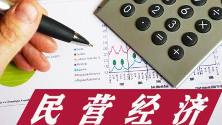 民營經濟促進法草案向社會公開徵求意見