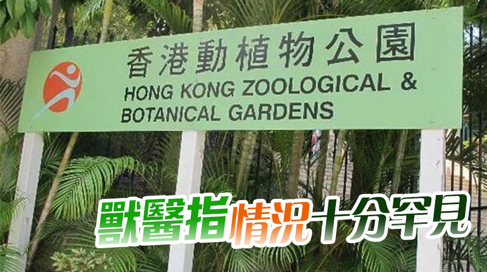 香港動植物公園累計9隻猴子死亡 政府召開跨部門會議應對