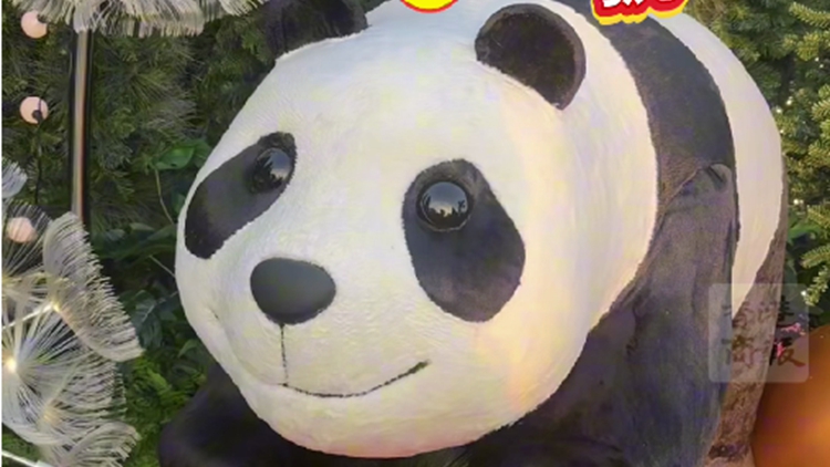 有片｜西九文化區海濱西草坪化身聖誕小鎮 快來和「熊貓」打卡拍照！