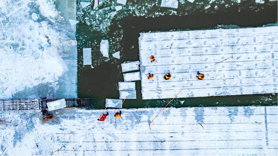 第二十六屆哈爾濱冰雪大世界采冰工作全面展開 園區建設開啟加速模式