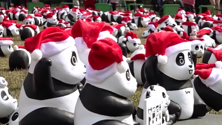 逾千隻聖誕造型大熊貓雕塑現身中山公園 吸引大批市民遊客「打卡」