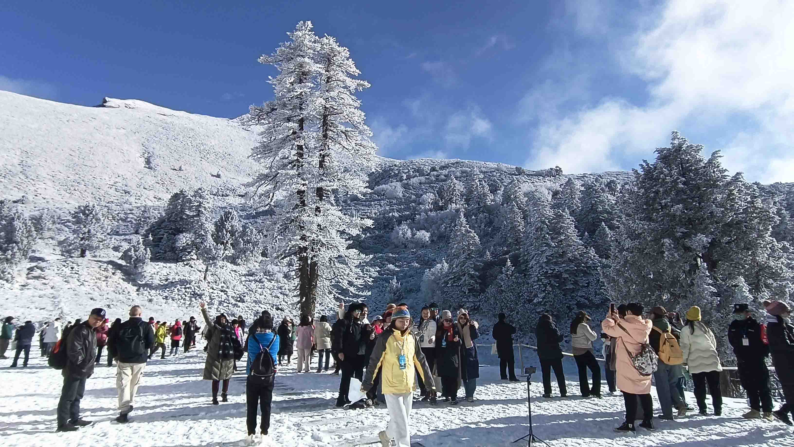 【康養中國】甘肅宕昌：文旅融合競芬芳 康養福地繪新景