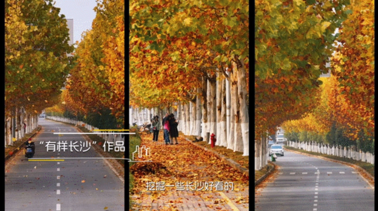 《在長沙 都實現》第三集：「五分之一的長沙人」都在看的長沙之美！