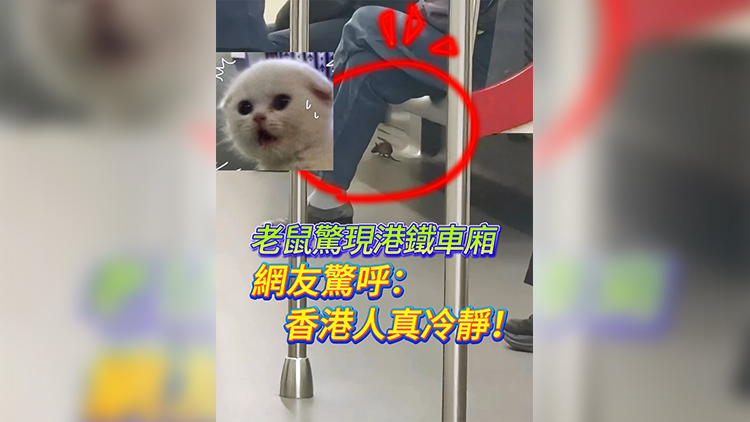 有片 | 老鼠驚現港鐵車廂 網友驚呼：香港人真冷靜