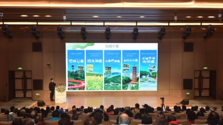 亞姐駕到，港風來襲，深圳光明舉辦「光彩港韻迎新周」