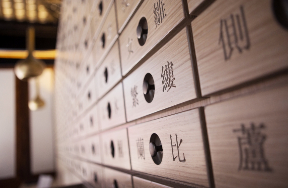 【計出新角度】蛇經濟