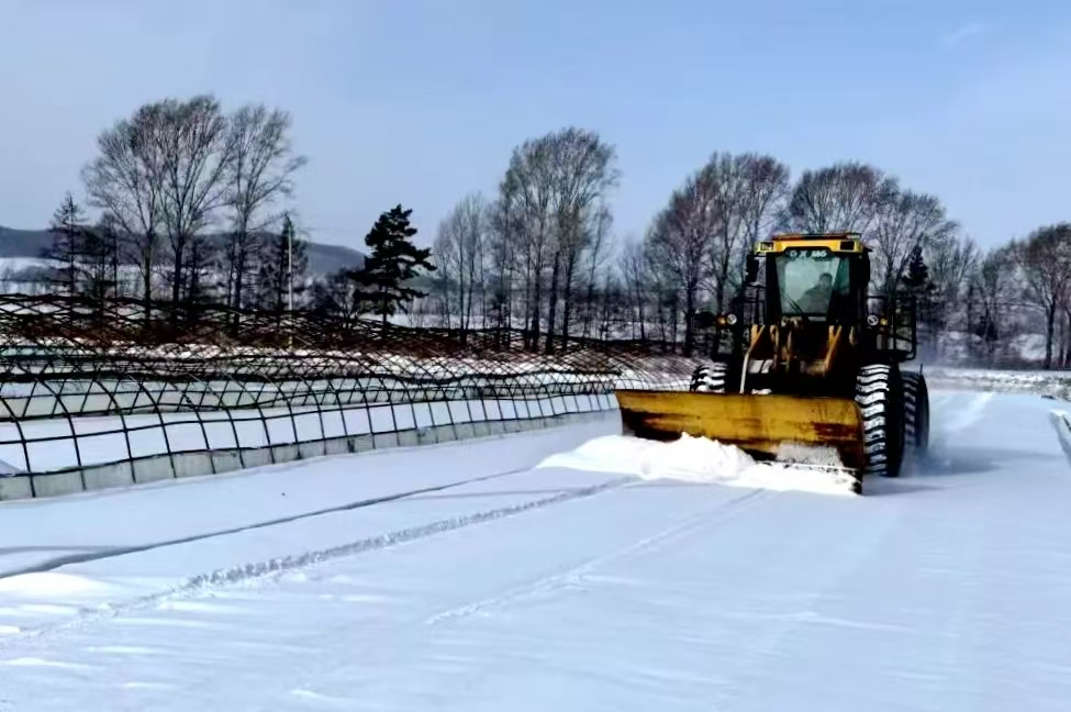 蓄滿春耕「能量包」 黑龍江雙鴨山農場下好備耕生產「先手棋」
