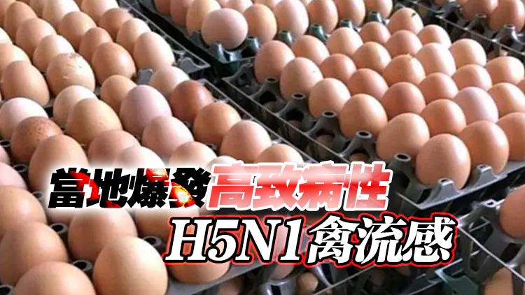 本港暫停進口印度恰蒂斯加爾邦Raigarh地區禽蛋