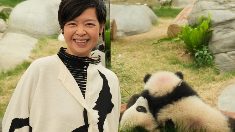 有片｜「家姐」「細佬」太可愛 局長也成熊貓迷