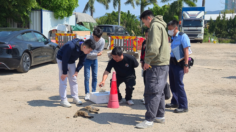 上水河上鄉虐殺花貓 警列殘酷對待動物案