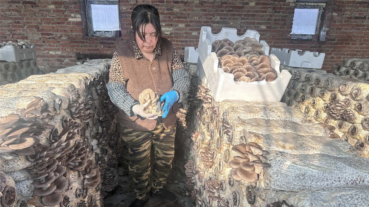 哈爾濱香坊區搶抓農時備耕忙