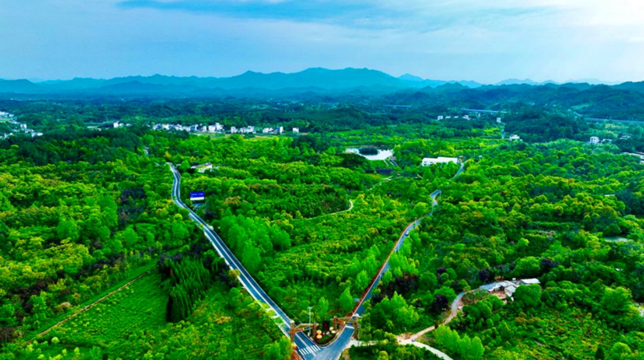 皖屯溪奕棋鎮：切實將黨建優勢化為鄉村振興優勢