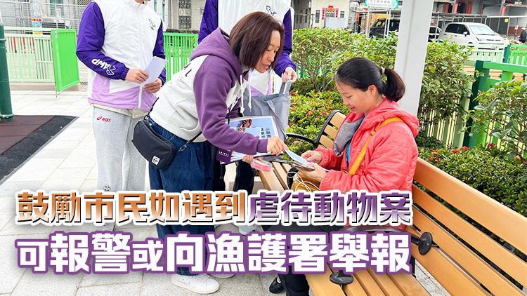 上水河上鄉發生虐殺花貓案 動物義工派傳單 籲向殘酷對待動物說不