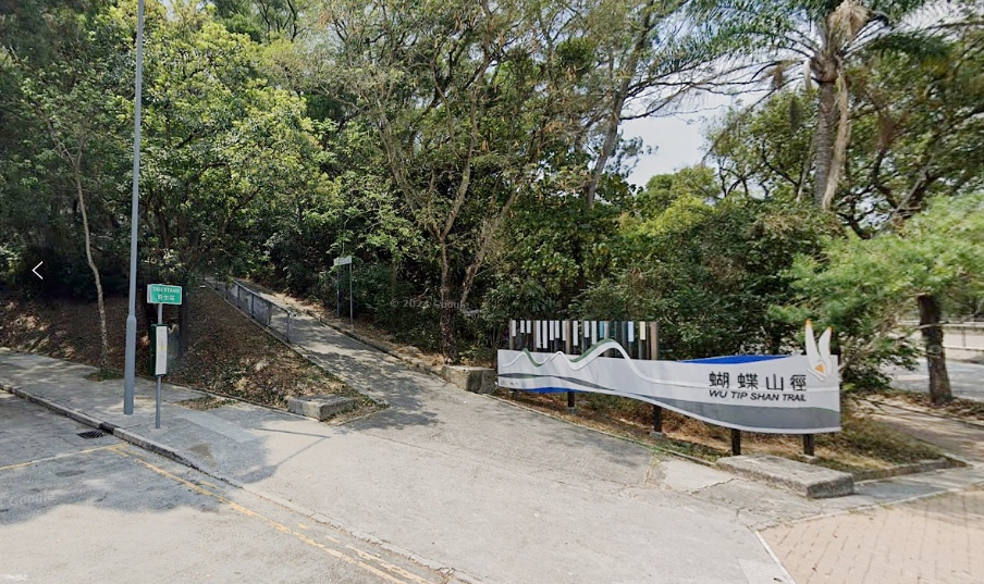 男子粉嶺蝴蝶山行山失足 墮山坡昏迷送院