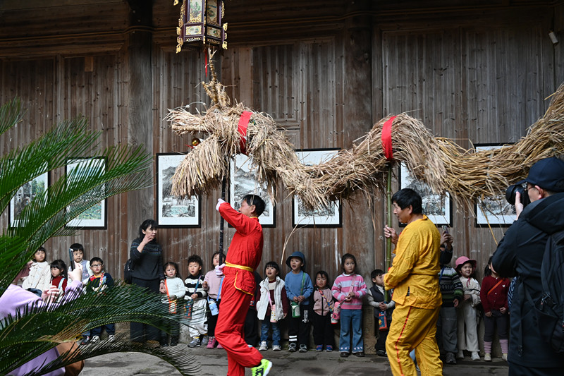 皖休寧縣：草龍起舞祈豐年 傳統民俗春意濃