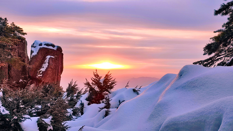 有片 | 日出雲海同框  黃山美如仙境
