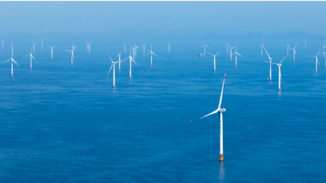 綠電服務助力大連「雙碳」實踐——國網大連供電公司創新服務賦能綠色發展