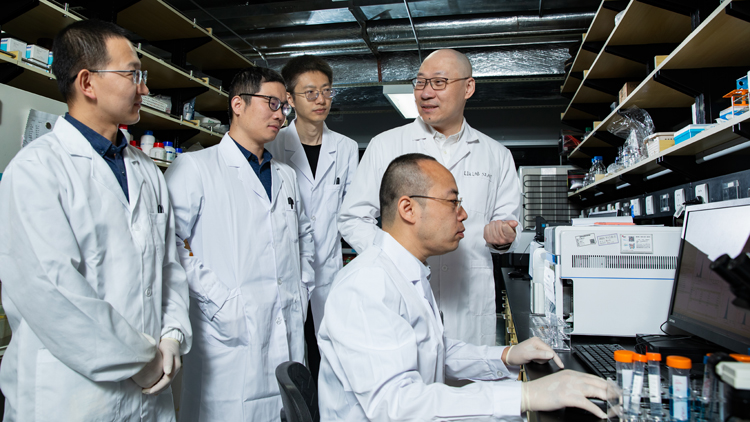 中國科學家首次揭示細菌治腫瘤關鍵原理