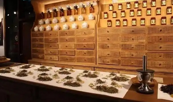 魏明德：推動建設京港傳統醫藥健康促進協同創新基地