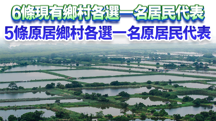 政府刊憲 11鄉郊代表席位需補選 候選人提名期為3月18日至31日
