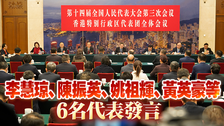 全國兩會｜丁薛祥參加港區全國人大代表團審議 指香港由治及興越來越穩
