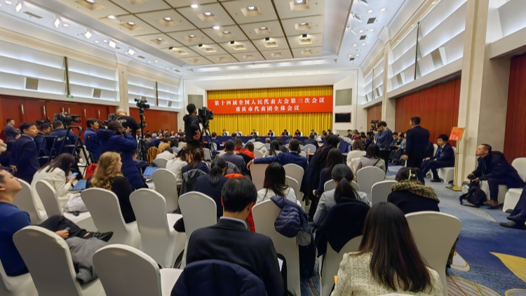 胡衡華：重慶力爭今年軟件業收入超5000億