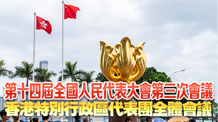 直播回放｜十四屆全國人大三次會議香港特區代表團全體會議