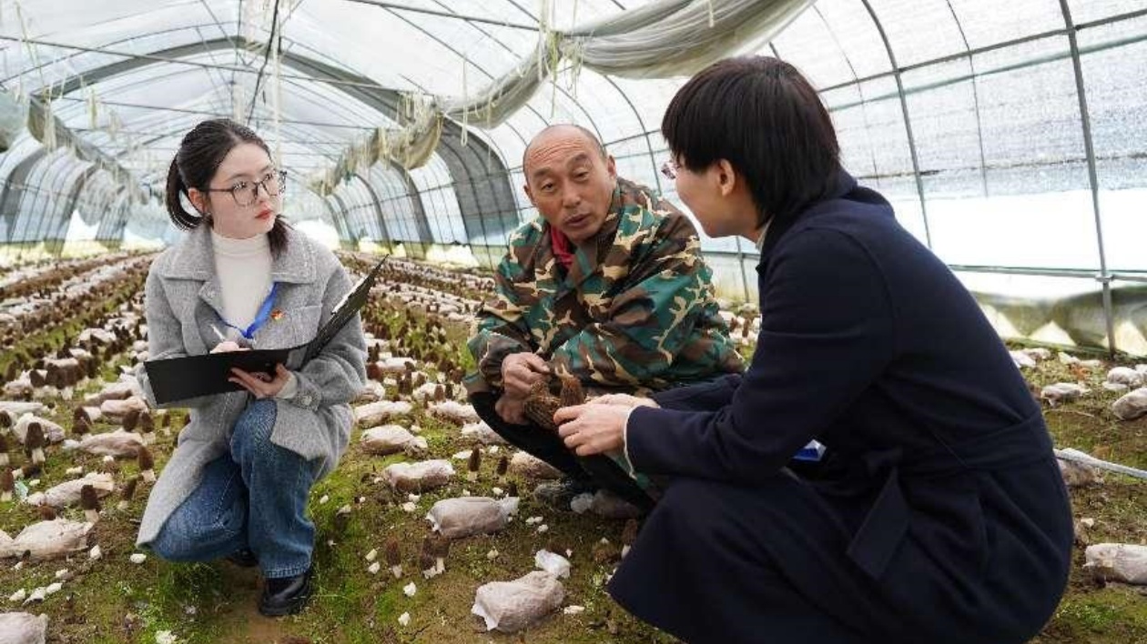 深入一線靶向監督 皖屯溪區為產業發展注入「廉動力」