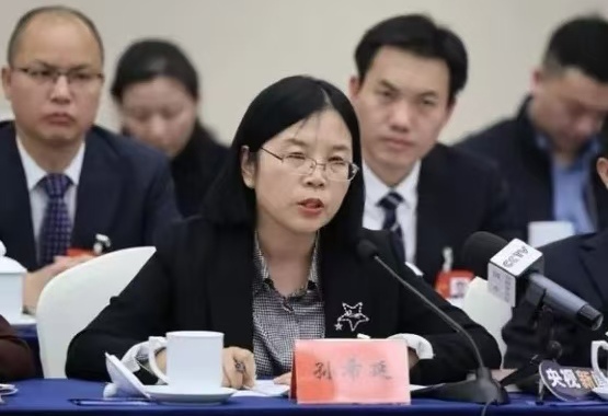 全國人大代表孫希延：三建議推廣西與老撾人工智能合作