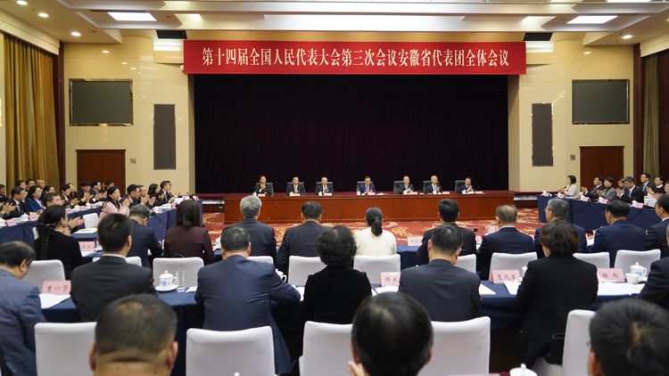 安徽代表團舉行團組會議  中外媒體聚焦美好安徽新成就